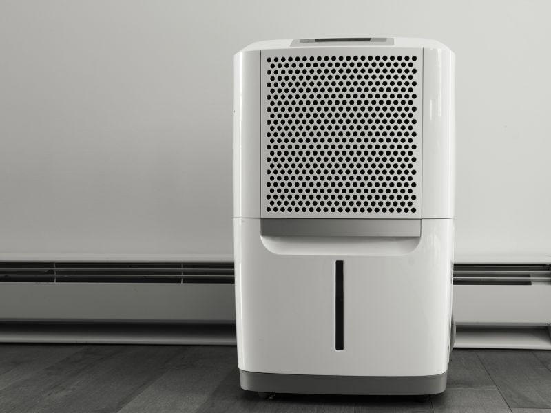 Basement Dehumidifier Service in Naples, FL